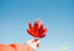 ���������ף���� �����ھ��Ӵ�ȫף����