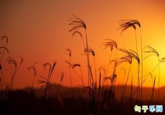 �ߵ��İ��̾� ����һ���ܸ߼����İ�