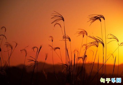 高档文案短句 让人一看很高级的文案