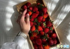 ���Ϻ��ʺ���� ���Ϻ�ǣ���ʺ�������