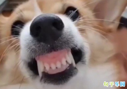 一些好笑的文案 一看就让人笑的文案