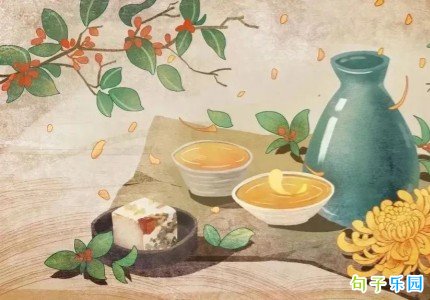 �����ڵļѾ����� ����������Ȧ��ô��