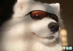 ��Ĭ��Ƥ�İ��̾�