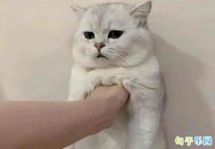 С�ڷ��ɳ���İ� �߼�ɳ���İ��̾�