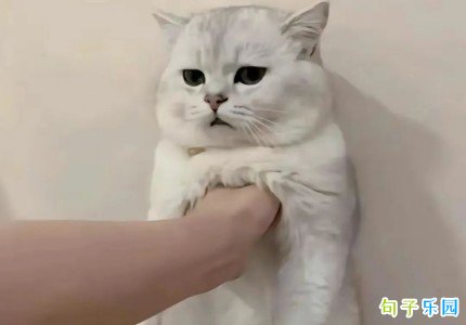 С�ڷ��ɳ���İ� �߼�ɳ���İ��̾�