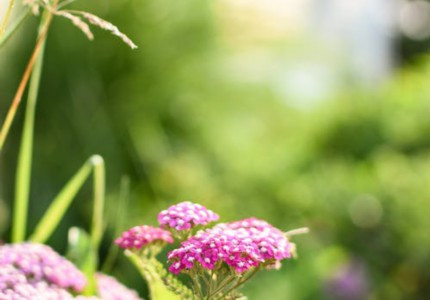 �İ�ح��Щ�����ź��������İ�