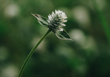�����ͷ�ѹ���������İ�