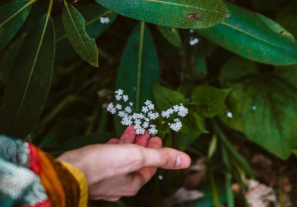�е����ĵĸ����������İ�