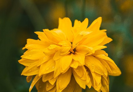 �̵ܶ��ܾ��޵�����Ȧ�İ� һ�۾;��޵��İ��̾�