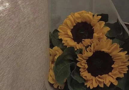 ����������ɳ��̾䣡