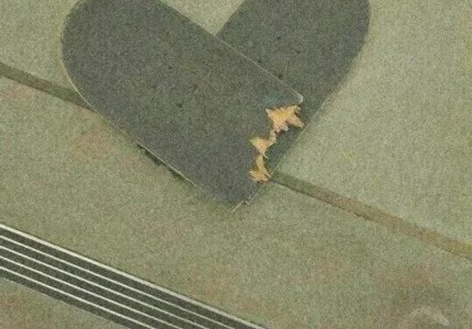 11�����������İ� ��������������������