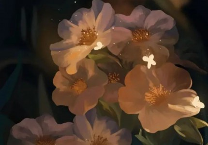 ���Ӿ硶��쭡�����������ĵľ��������¼