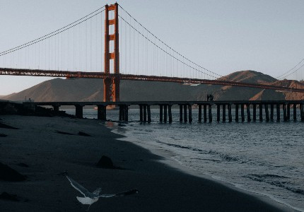 �������¼ ������Ŀ���˸���¼