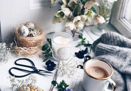 ���ʺϷ�����Ȧ�������İ� ������Ȧ����������İ�