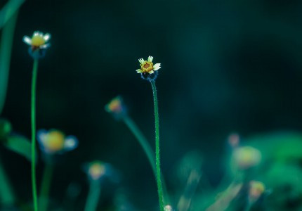 ���ϴ��������Ļ� ��Щ���ĵĻ�