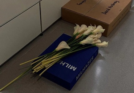 �˼����ѵ���������Ȧ�İ� �˼������İ�