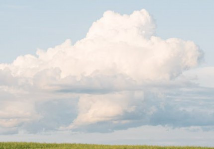 2024���˽�ů�ĳ���˵˵