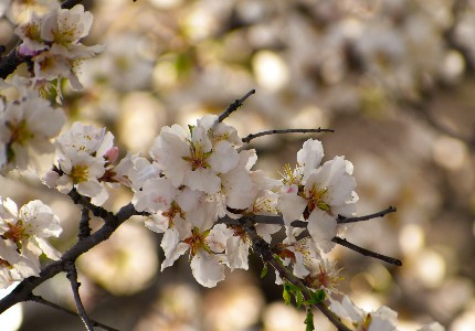 �簲�������ľ��Ӿ�����䣨��ѡ60�䣩