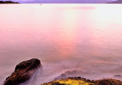 �����κ�����Ӱ����ӣ���ѡ62�䣩
