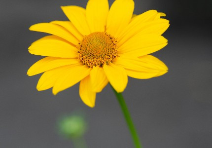 ����˲������ľ��ӣ���ѡ11�䣩