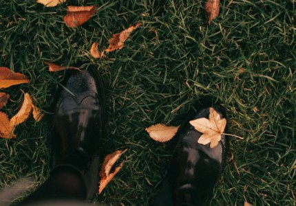 �����Ҹɾ������ʺϷ�˵˵���Ƽ�28�䣩
