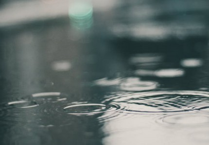 �������õļ����İ�����ѡ29�䣩