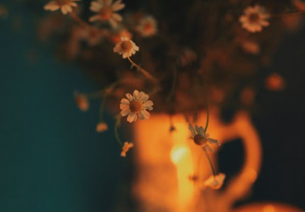 �����Զ��Ʒ���İ�����ѡ34�䣩
