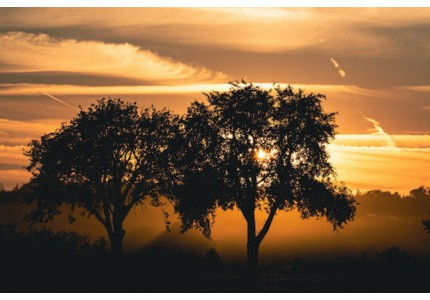 �����ʺϷ�����Ȧ�ļѾ䣨��ѡ30�䣩