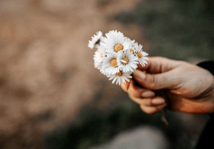 ����������ζ���İ�����ѡ24�䣩