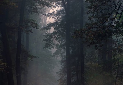 �����������������Ȧ�İ�����ѡ31�䣩