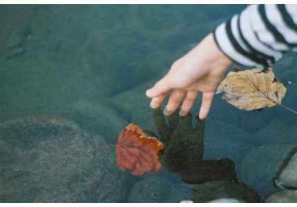 ÿ���峿��ܰ�ʺ���䣨��ѡ11�䣩