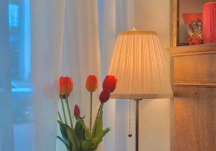 ����Ȧ�������Ե������İ�����ѡ18�䣩