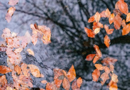�����Լ����������ӣ���17�䣩