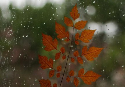 �ܵ������Ȧ���Ӿ�ѡ28��