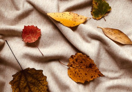 ֱָ���ĵ�Ϭ������Ȧ��䣨��ѡ18�䣩