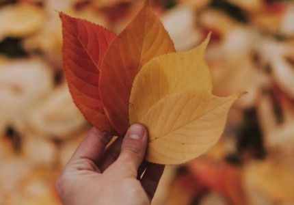 �и��������׳־��������¼���Ƽ�14�䣩