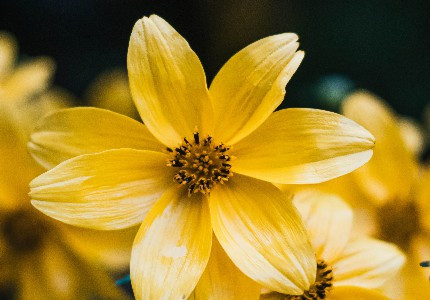 ��������������İ�����ѡ10�䣩