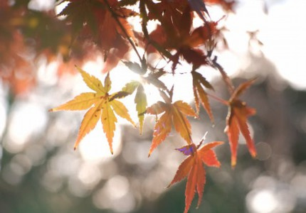 ��Լ���������̾䣨�Ƽ�17�䣩