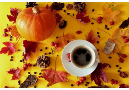 �ʺϷ���̬���������䣨��13�䣩