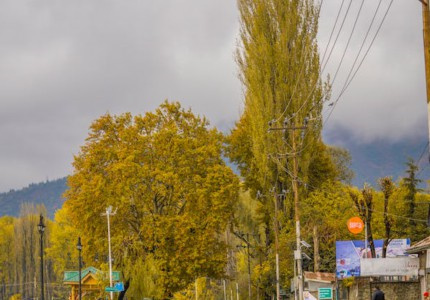���˽�����Ȧ���ӣ���23�䣩