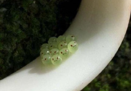 �ŷ������İ��޹ذ��飨��ѡ30�䣩