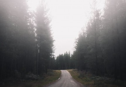 ����ϵ����Ȧ�İ�����ѡ19�䣩