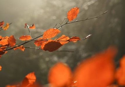 �������ĵ���������˵˵����19�䣩