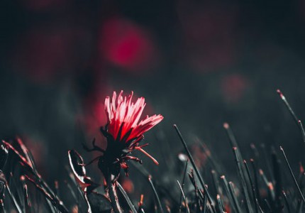 触及泪点的说说(优选17句) 触及泪点的说说(优选17句)