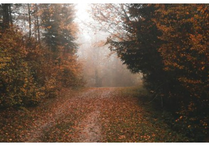 �ŵ�����������ȫ����ѡ59����