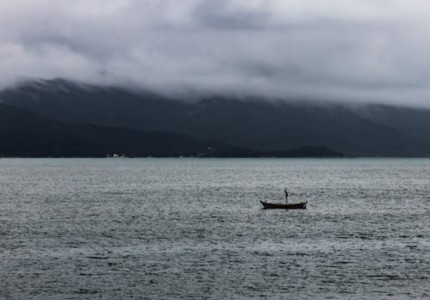 2025新潮流行的昵称 2025新潮流行的昵称