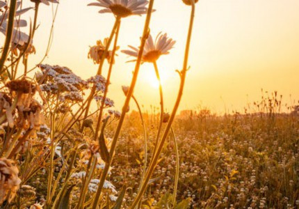 �����ټ����������¼�������ģ���ѡ20�䣩